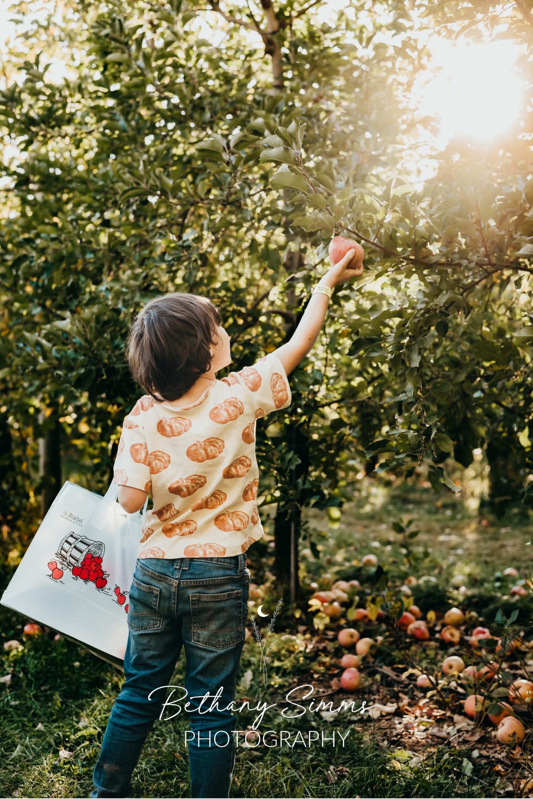 boy picking apples for mini session